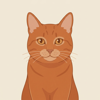 Portrait: Cirmi