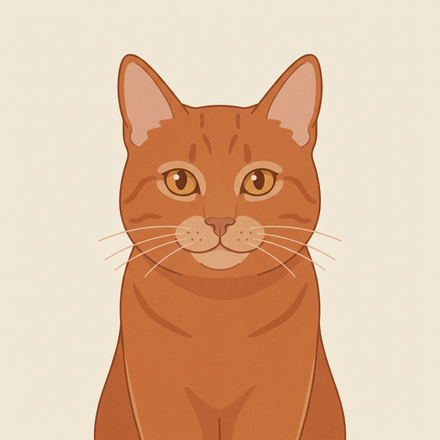 Portrait: Cirmi